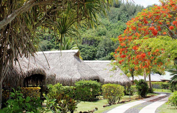 Hotel Hibiscus - bungalow jardin - Moorea