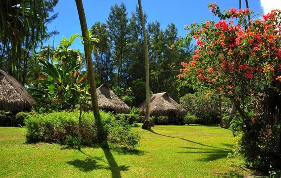 Hotel Hibiscus - bungalow jardin - Moorea