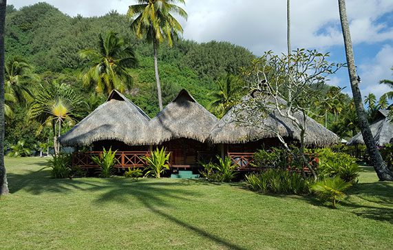 Hotel Hibiscus - bungalow supérieur jardin - Moorea